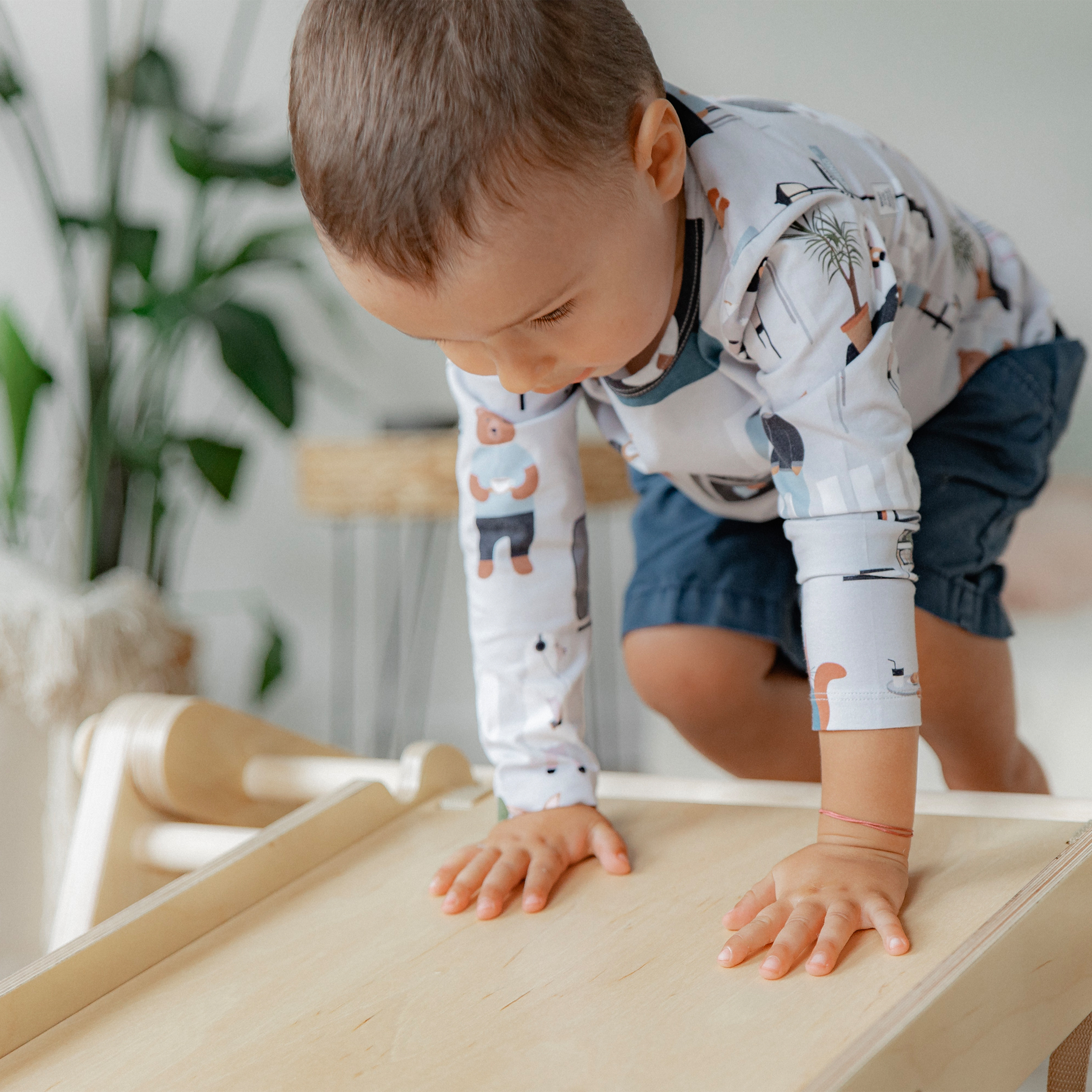 Ette Tete Mopitri modifiable Climbing Frame with ramp