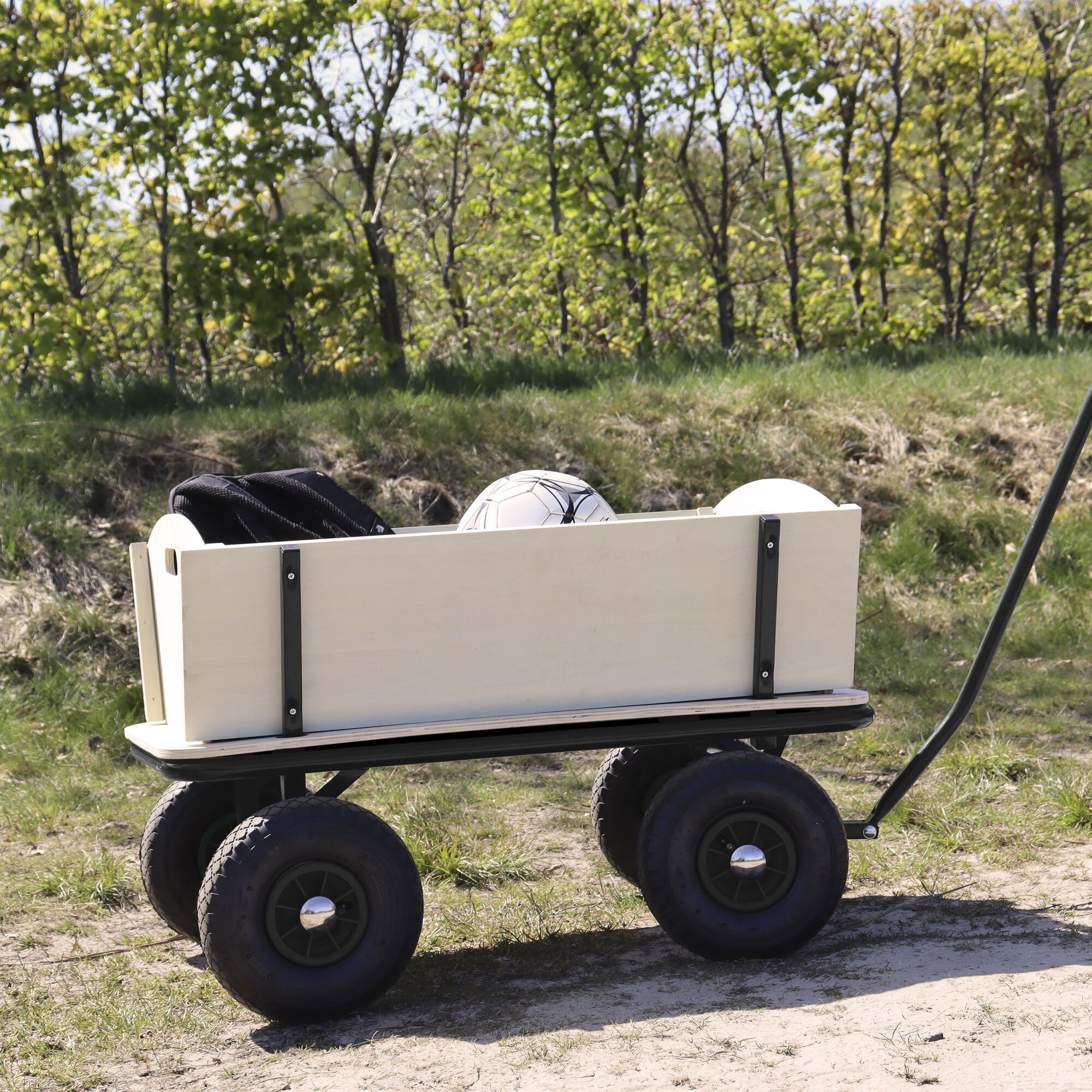 Sunny Billy Beach Wagon - Black