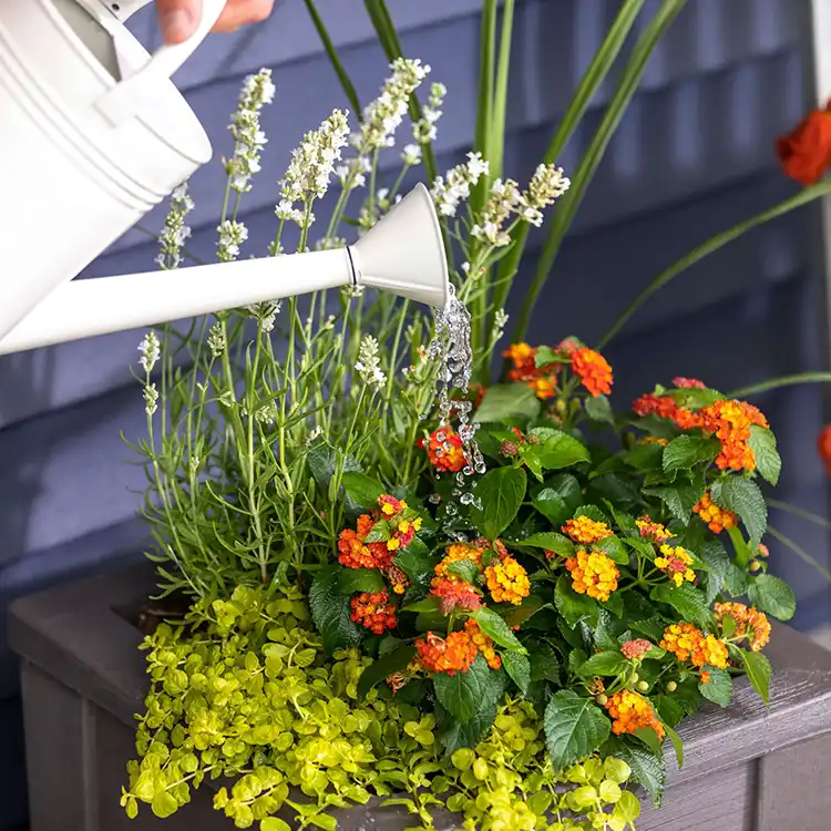 Step2 Lakewood Planter Box - Dark Cedar