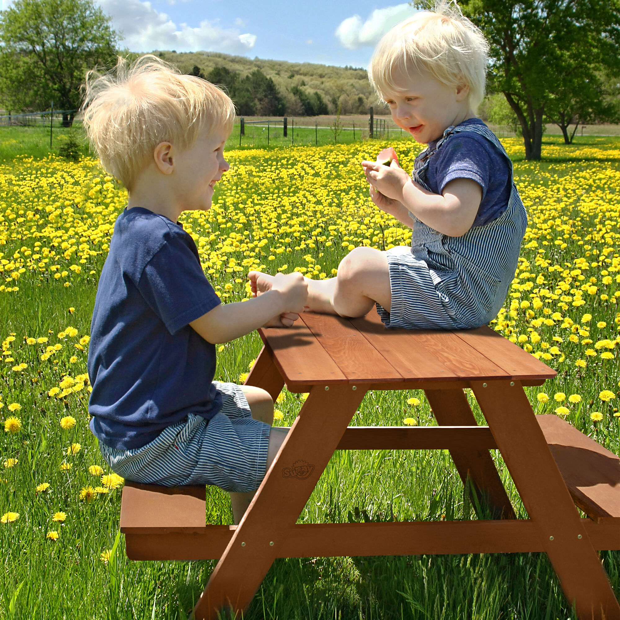 Sunny Dave Picnic Table - Brown