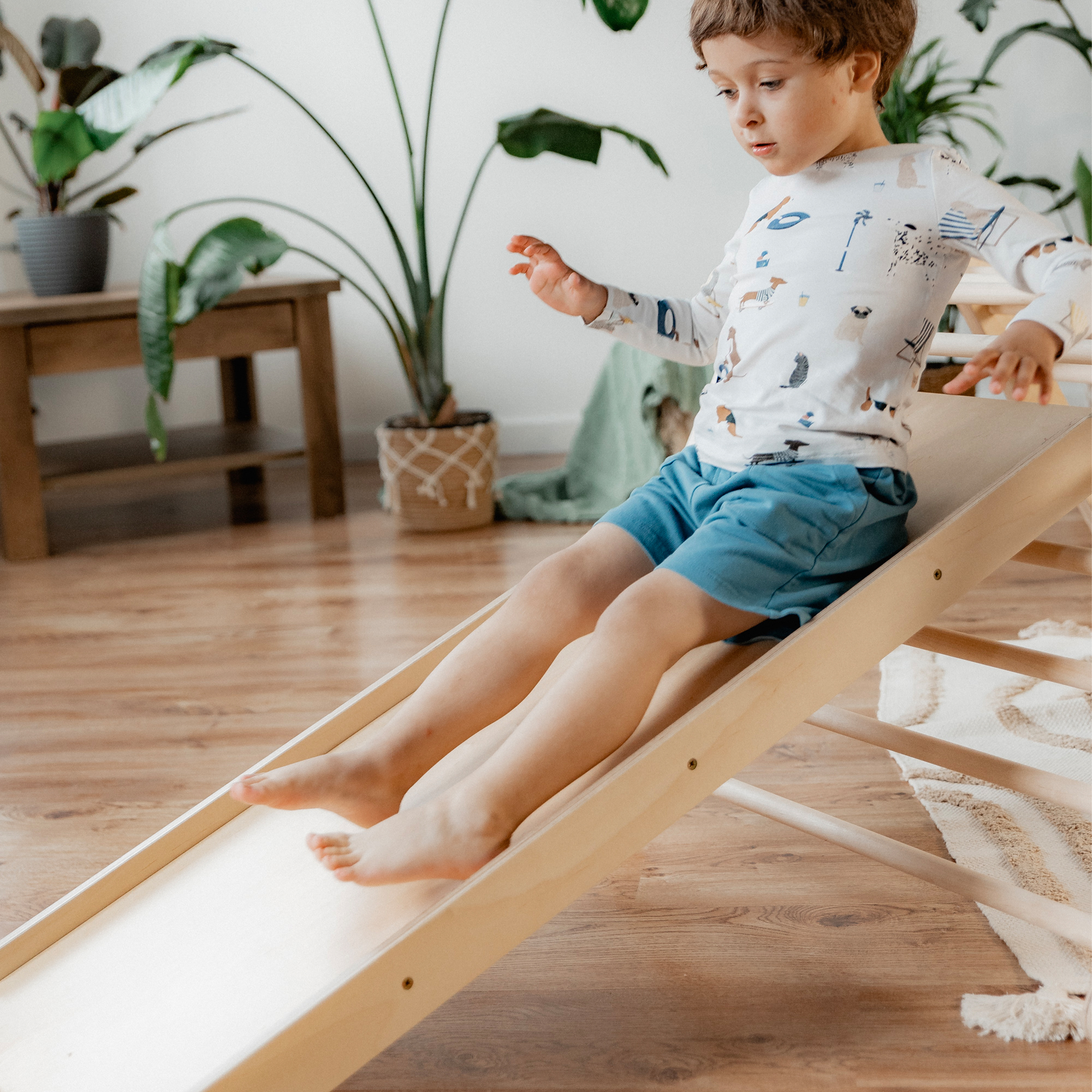 Ette Tete Fipitri modifiable Climbing Frame with ramp