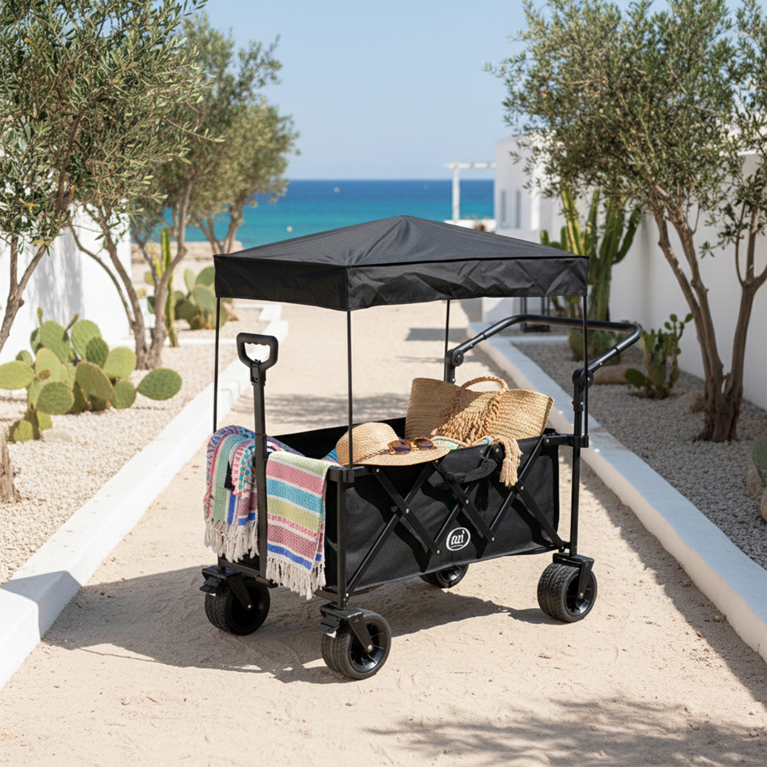 AXI SB221 Foldable Beach Wagon with roof - Black