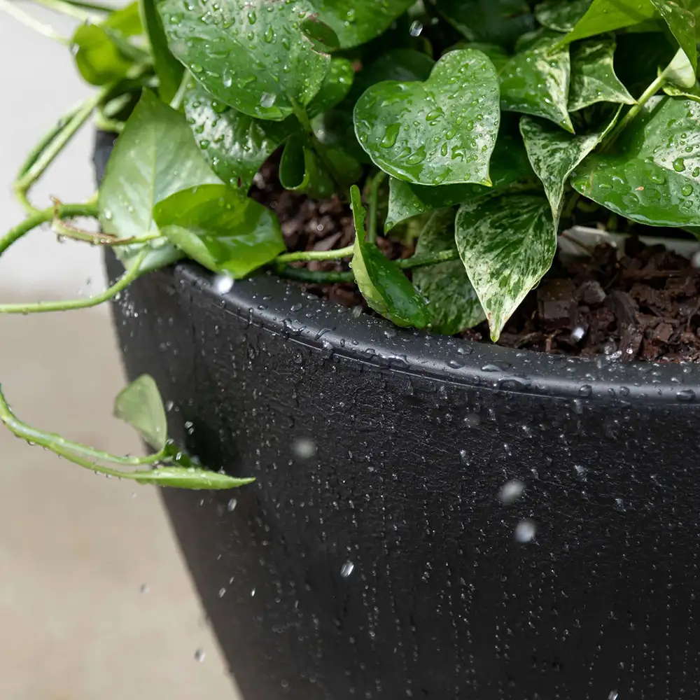 Step2 Fernway Flower Pot - Onyx Black