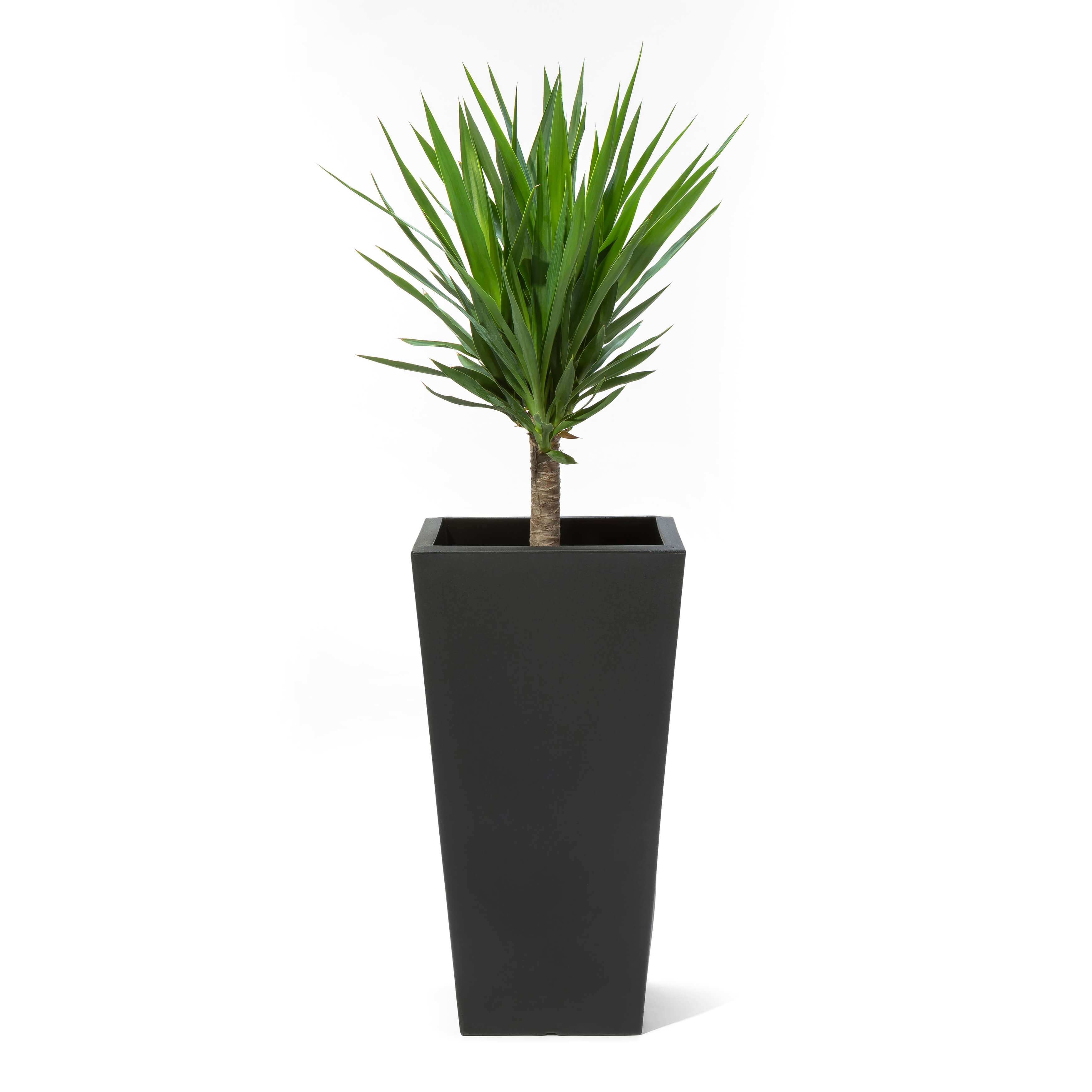 Step2 Tremont Square Conical Flower Pot Large - Onyx Black