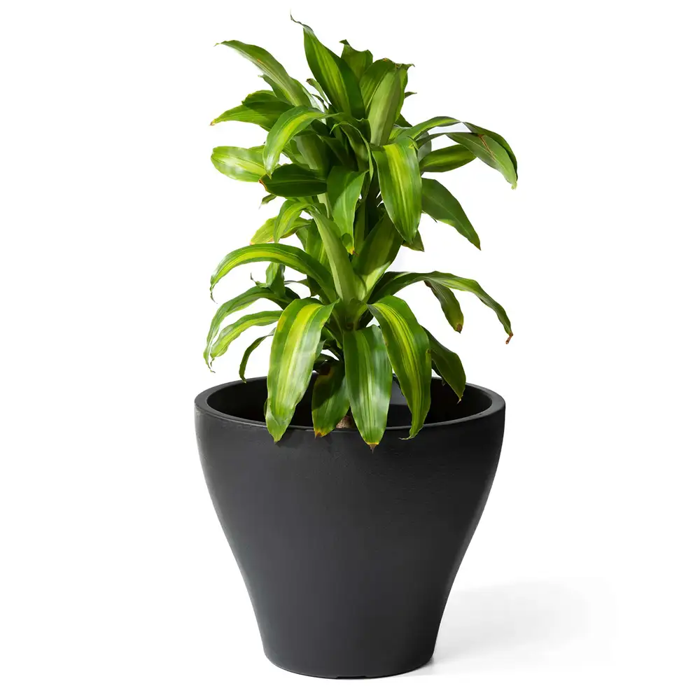 Step2 Fernway Flower Pot - Onyx Black