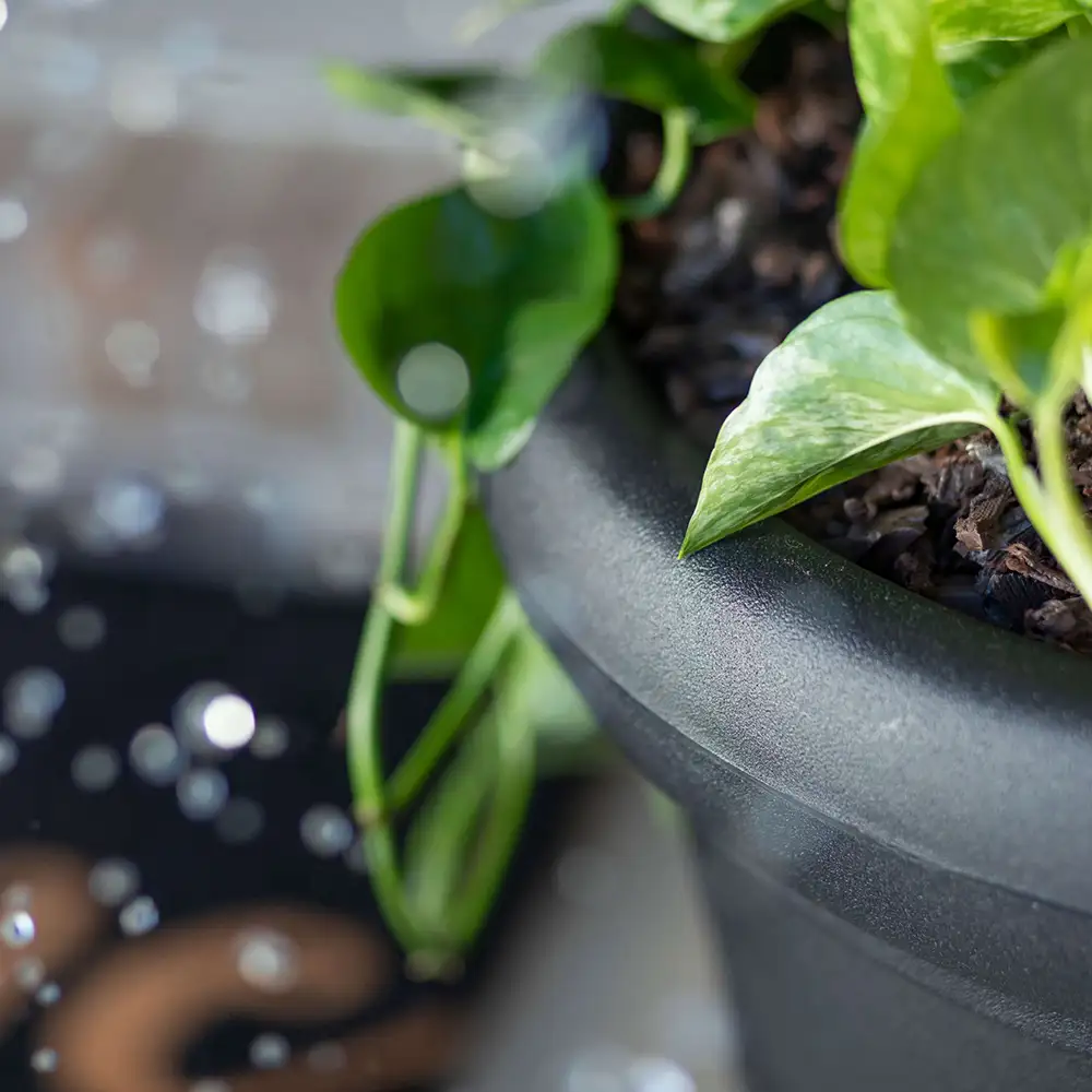 Step2 Claremont Flower Pot - Onyx Black