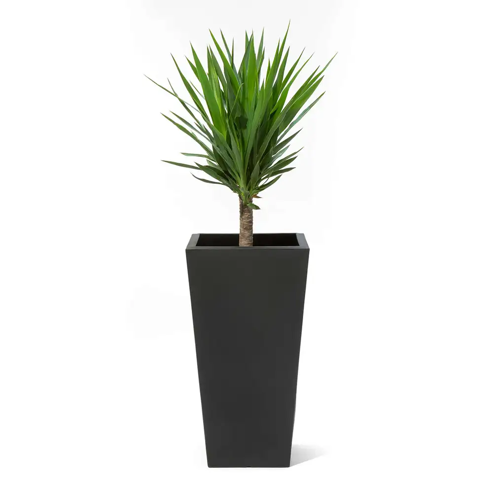 Step2 Tremont Square Conical Flower Pot Large - Onyx Black 